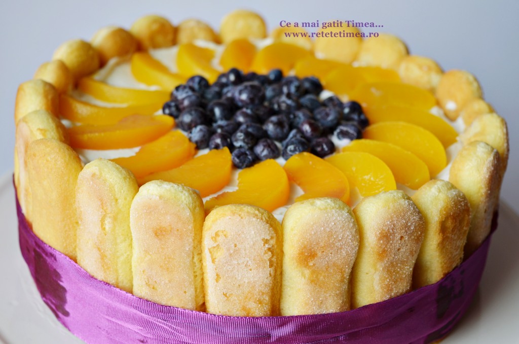 Tort diplomat in doua culori 2