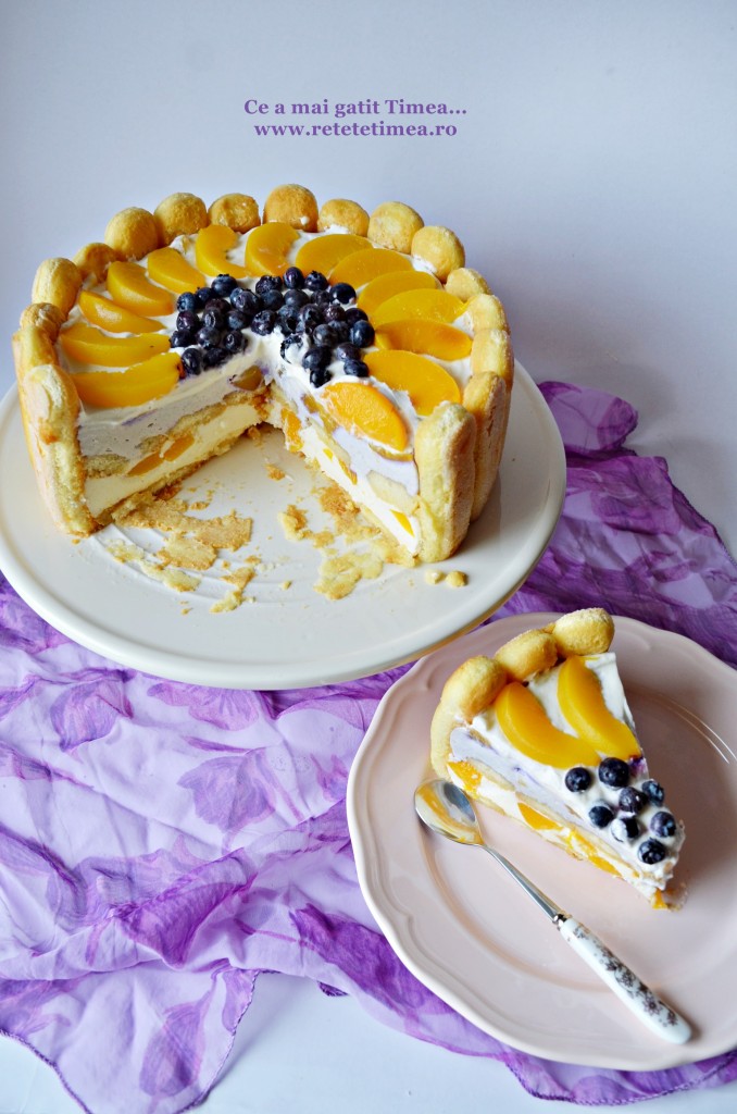 Tort diplomat in doua culori 7